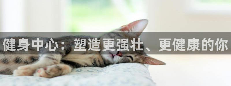 龙八国际app下载客户端