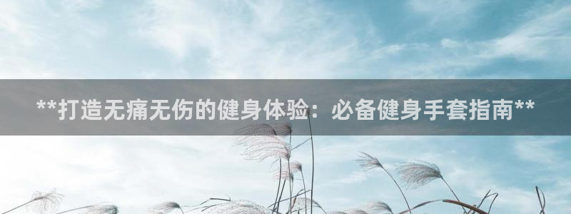 龙8国际城