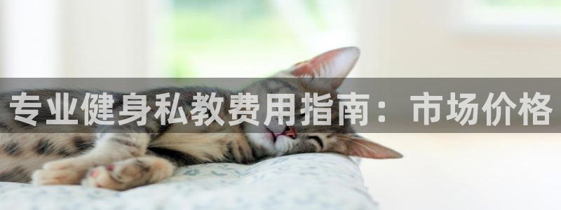 龙8国际下载