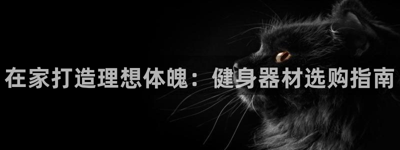 龙8国际棋牌