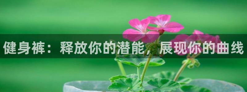 龙8棋牌官网