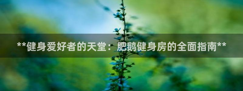 龙8国际客服
