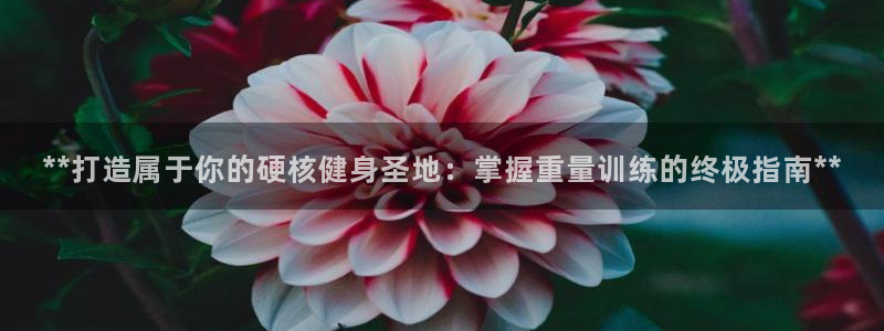 龙8国际官网唯一入口