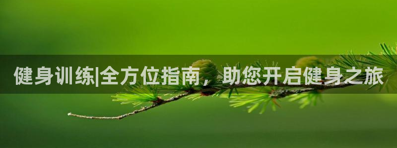 龙8国际long8官方版下载