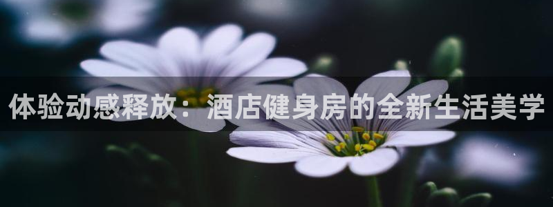 龙8国际城