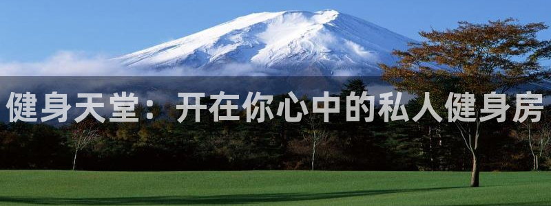 龙8国际官网官方版fxzls天地手游 -kc -安卓