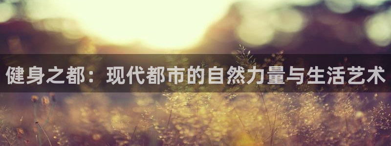龙8国际.apk