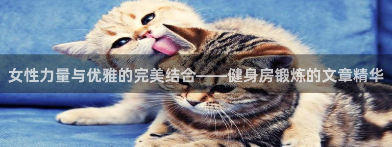 龙8国际提现被黑