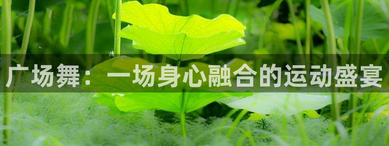 龙8国际官网 - 点此进入