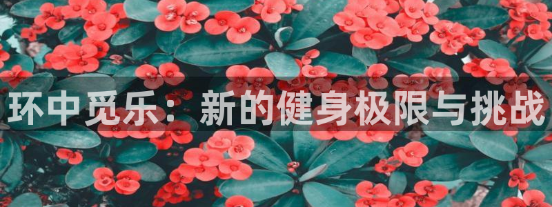 龙8国际官方网址下载