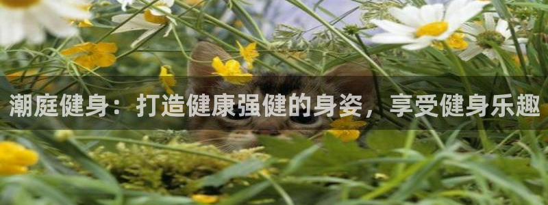 龙8国际提现被黑