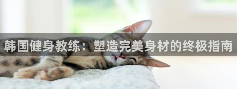 龙8国际安卓版版