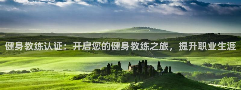 龙 八国际