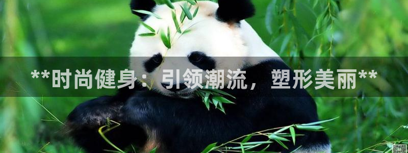 龙8游戏入口