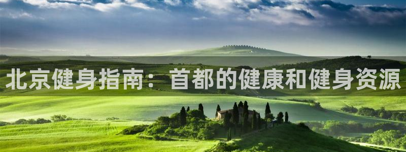 龙8国际pt