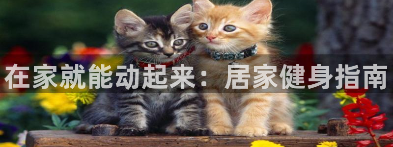 龙8国际下载