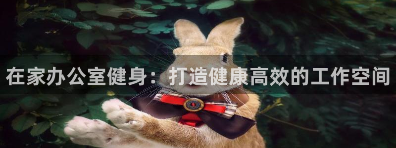 龙8国际平台官网