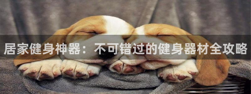 龙8国际备用