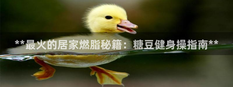 龙8国际网站是多少