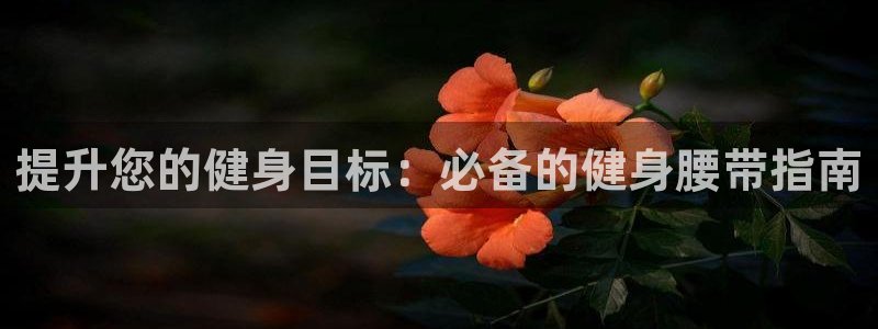 龙8国际的官方网站