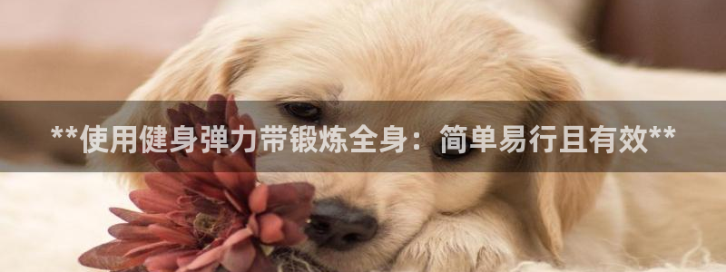 龙8棋牌官网